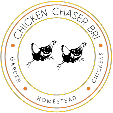 Chicken Chaser Bri Logo